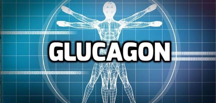 glucagon-and-bodybuilding-702x336